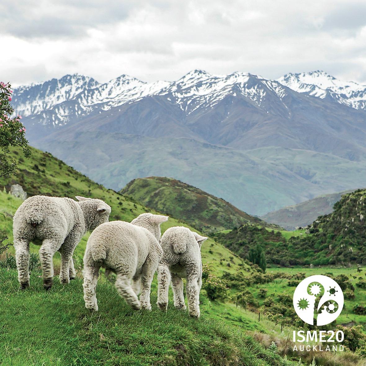 Call for Roundtable Proposals