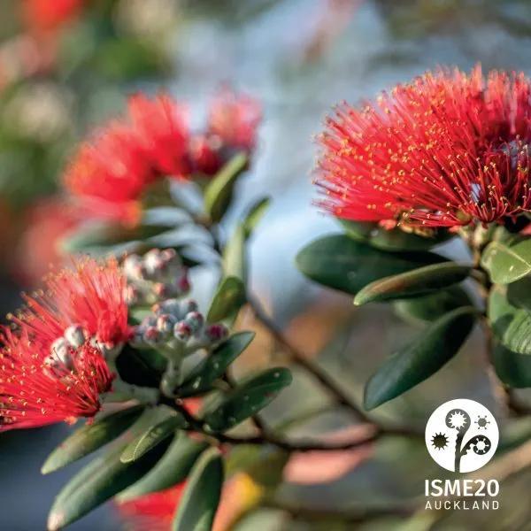 Explore the ISME20 Scientific Sessions