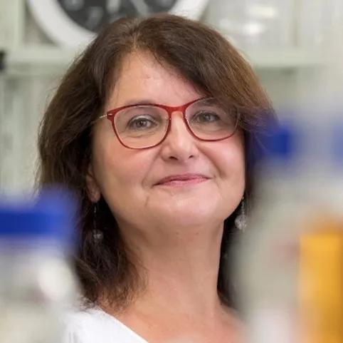 Welcoming Gabriele Berg as the new Vice President