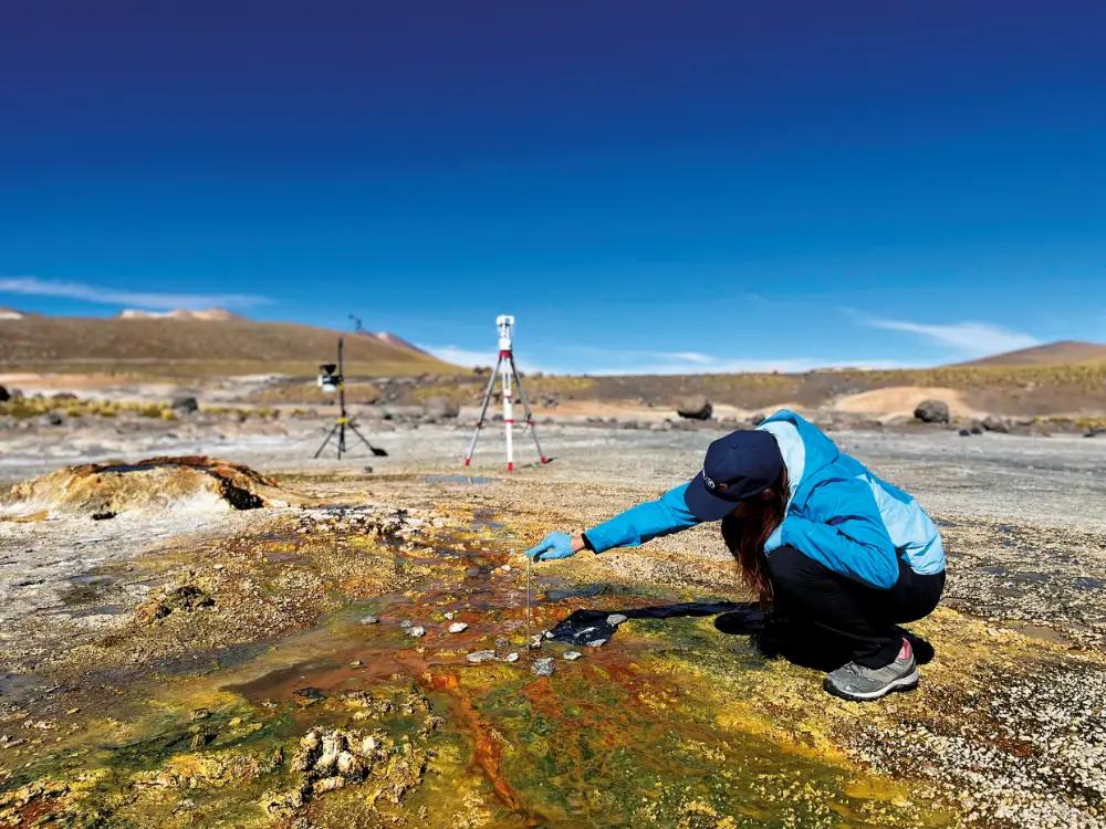 Winners of the ISME Photo competition